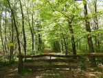 Duivelshof